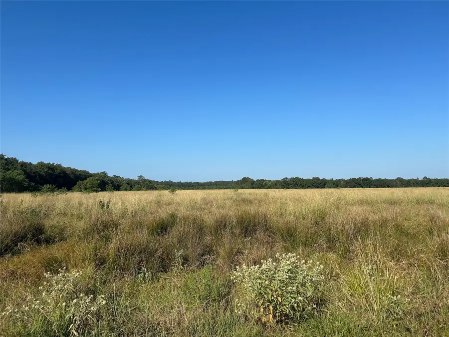 Lot 60 Minnie West Drive, Hull, TX 77564 - Image #3