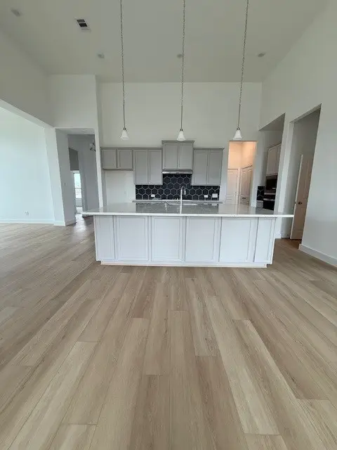 18806 Forested Street, Manvel, TX 77578 - Image #2