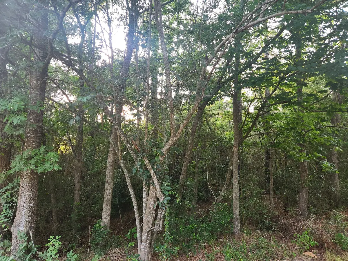 Lot 16 Weeping Willow Lane, Plantersville, TX 77363 - Image #1