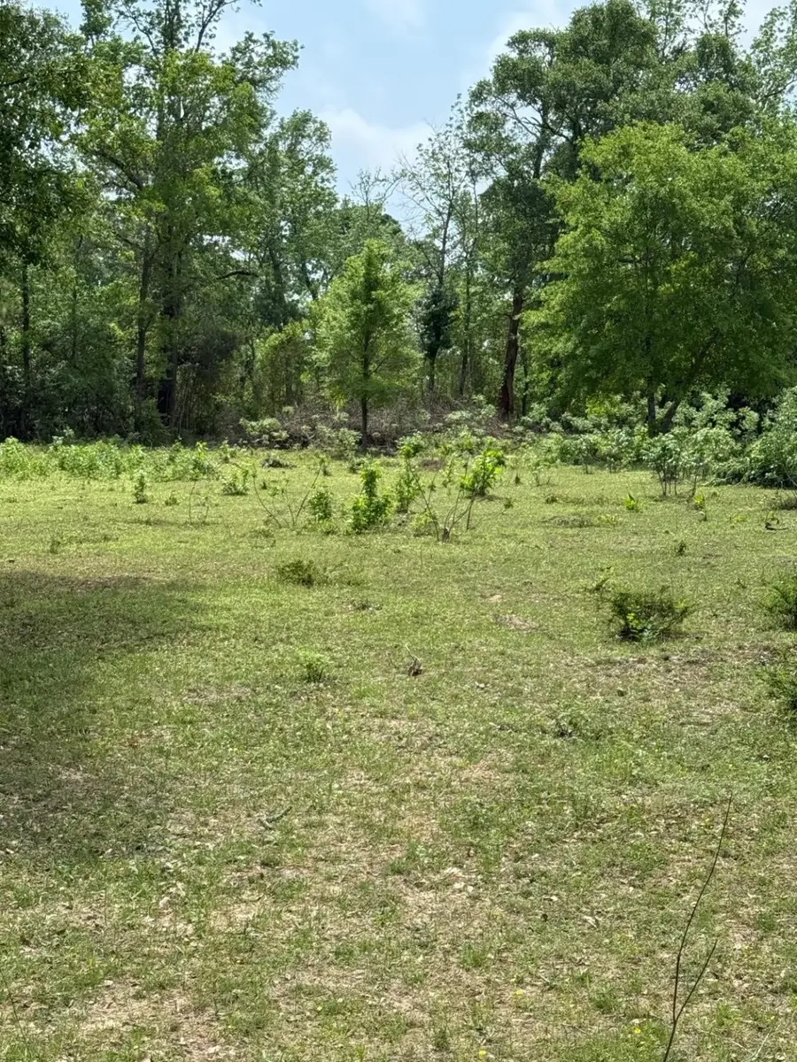 0000 Denson Reed Road, Shepherd Evergreen, TX 77328 - Image #3