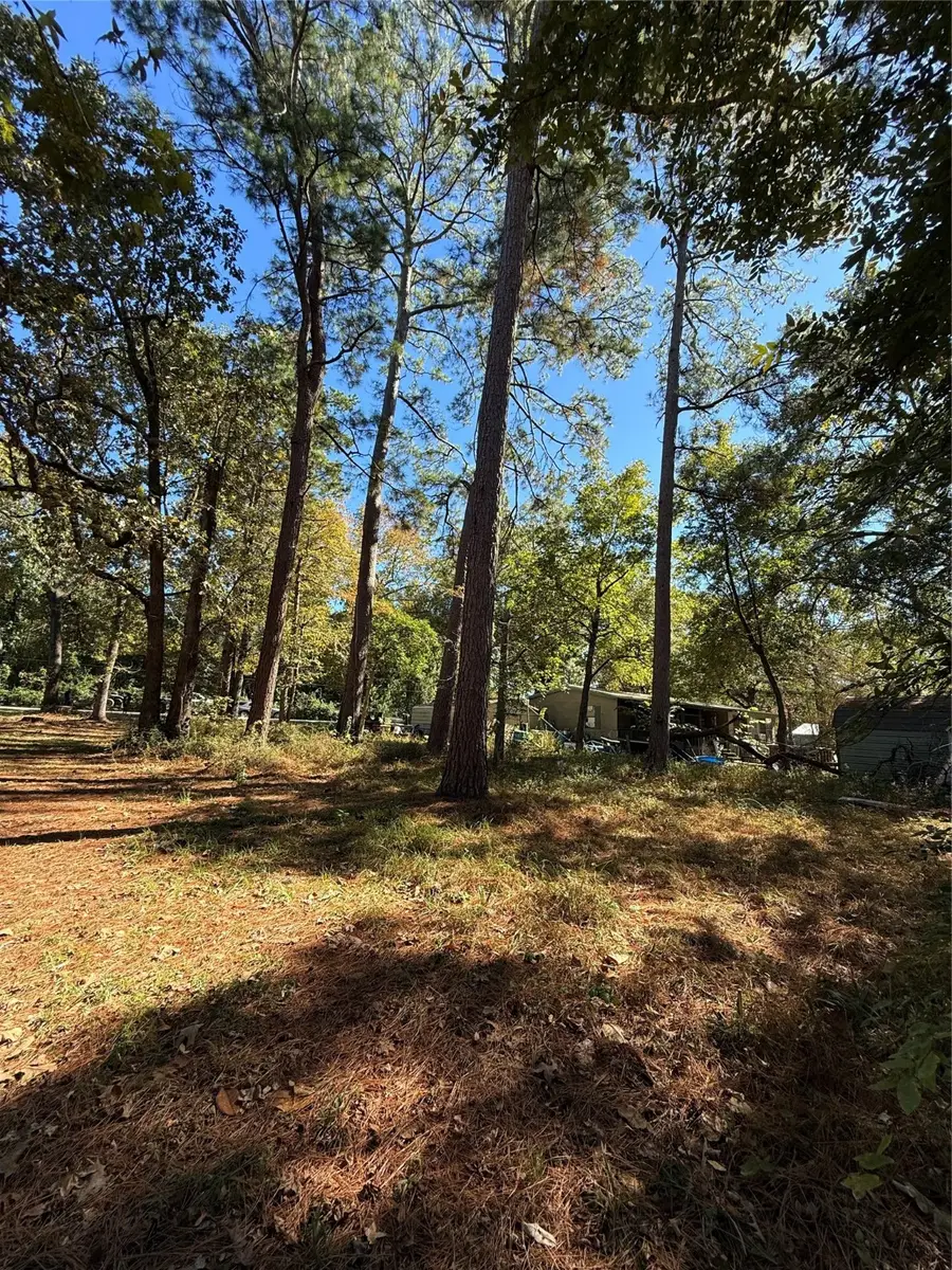 0 Alabama, Onalaska, TX 77360 - Image #3