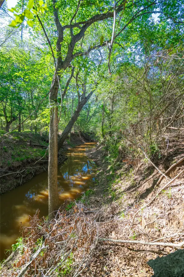 0 Sparta Field Road, Waelder, TX 78959