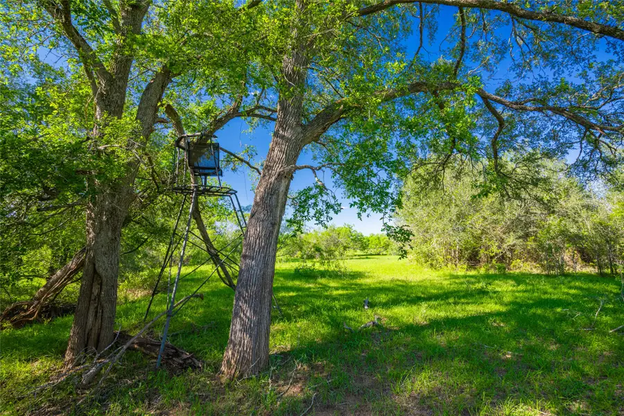 0 Sparta Field Road, Waelder, TX 78959 - #2