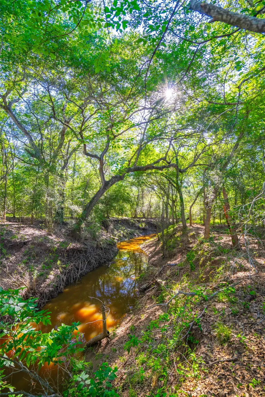 0 Sparta Field Road, Waelder, TX 78959 - #3