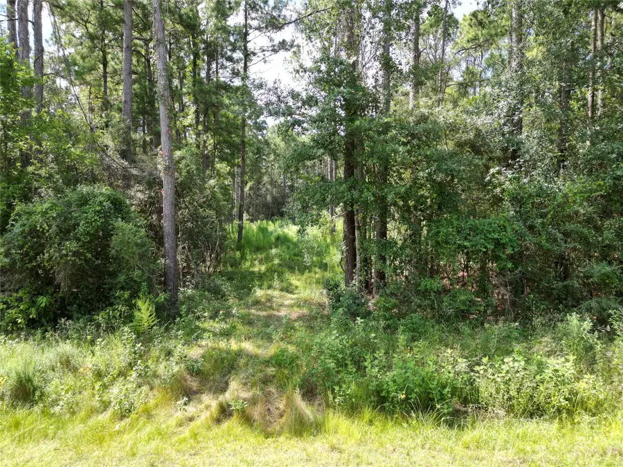 9416 Pecan Road, Plantersville, TX 77363 - Image #3