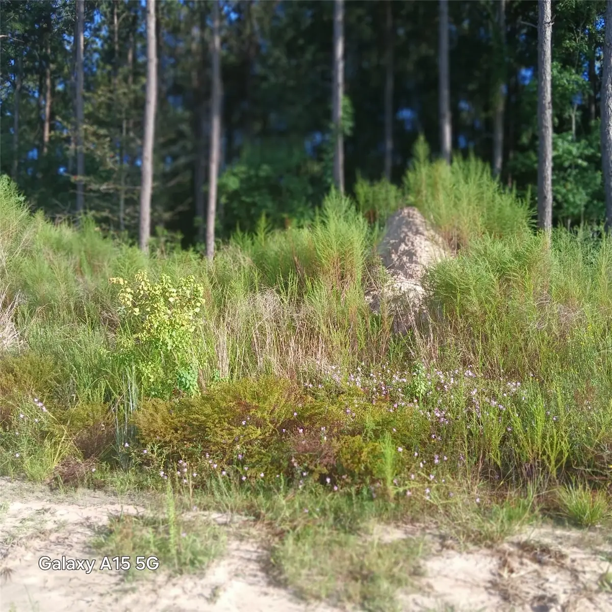 1321 Road 5890, Cleveland, TX 77327 - Image #1