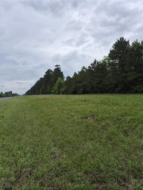0002 Tbd E Schwab Road, Livingston, TX 77351