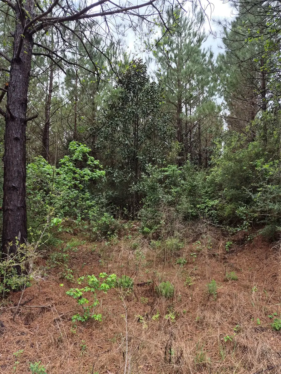 0002 Tbd E Schwab Road, Livingston, TX 77351 - #3