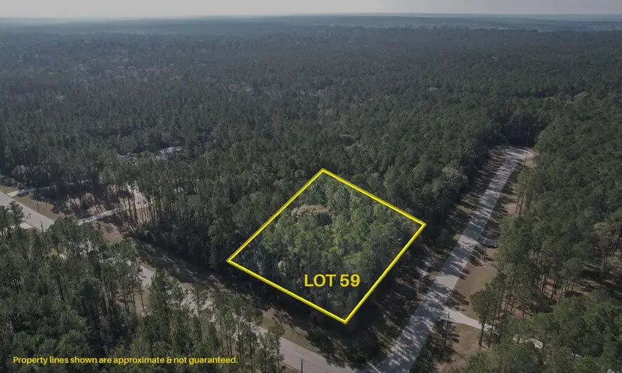 12-22-59 Grey Feather Road, Huntsville, TX 77340 - Image #2