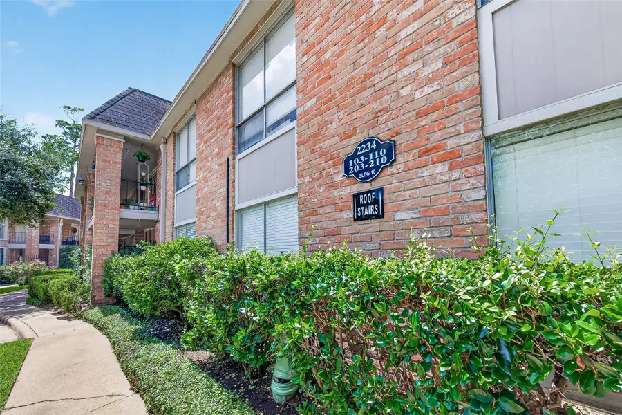 2234 S Piney Point Road #206, Houston, TX 77063 - #3