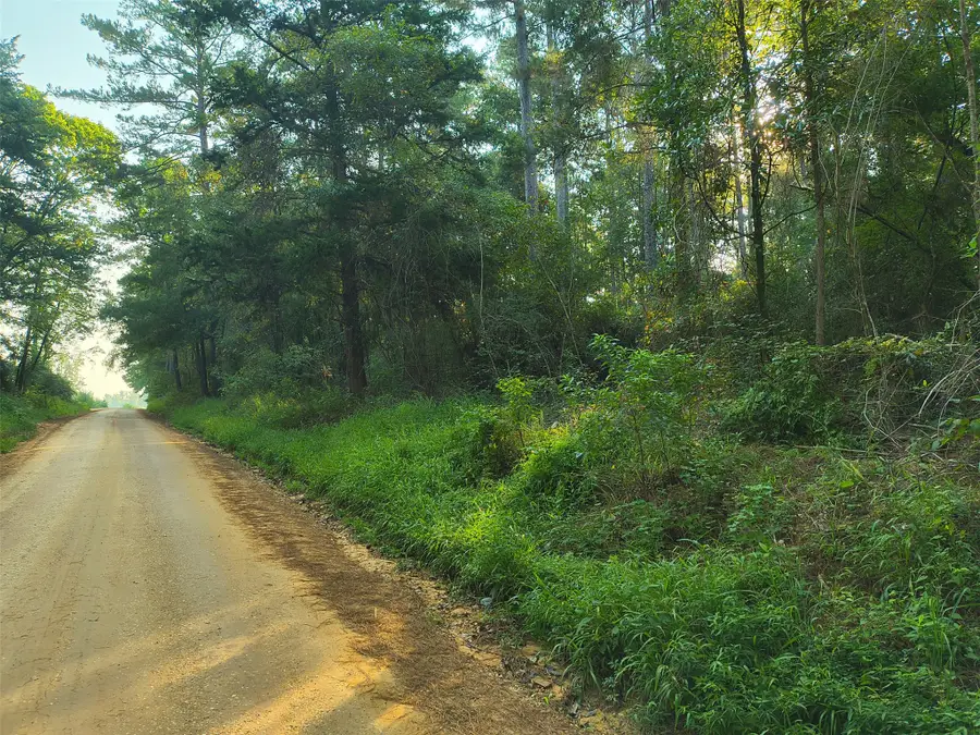 tbd County Line Road, Livingston, TX 77351 - #3