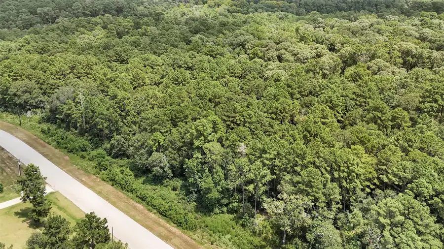 7-23-66 Sky Oak Lane, Huntsville, TX 77340 - #3