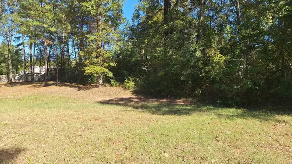 185 Amber Lane, Livingston, TX 77351