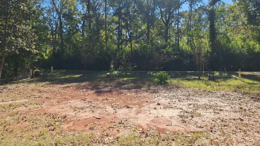 185 Amber Lane, Livingston, TX 77351 - Image #3