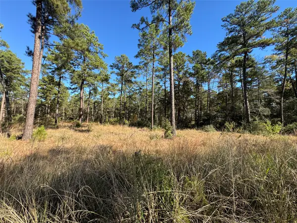 065 Private Road 6026, Brookeland, TX 75931