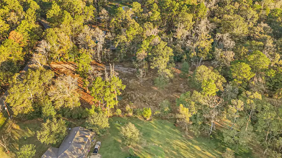 18243 Emerald Forest Drive, New Caney, TX 77357 - Image #3