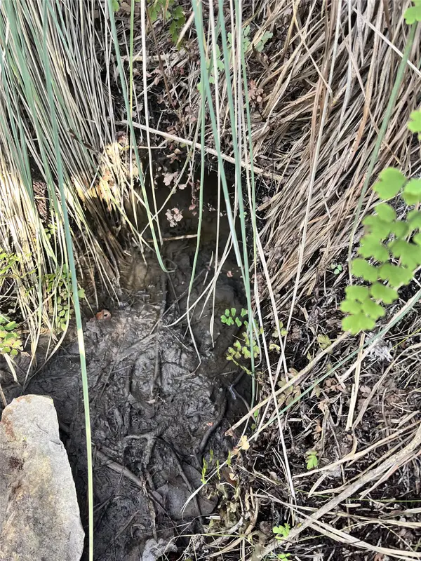 8101 Chantily Cove, Leander, TX 78645