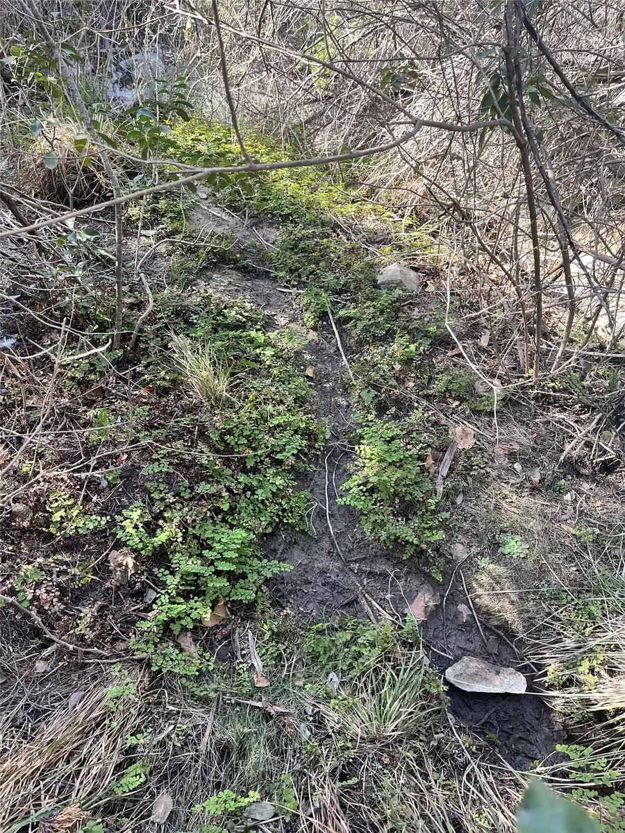 8101 Chantily Cove, Leander, TX 78645 - #2