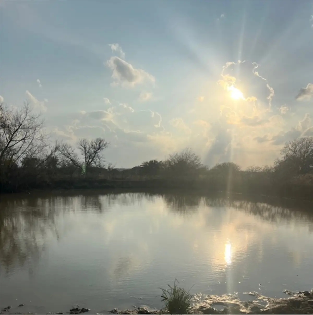 28 Acres Shaws Bend Road, Columbus, TX 78934 - Image #1