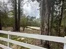 7389 Teaswood Drive, Conroe, TX 77304 - #2