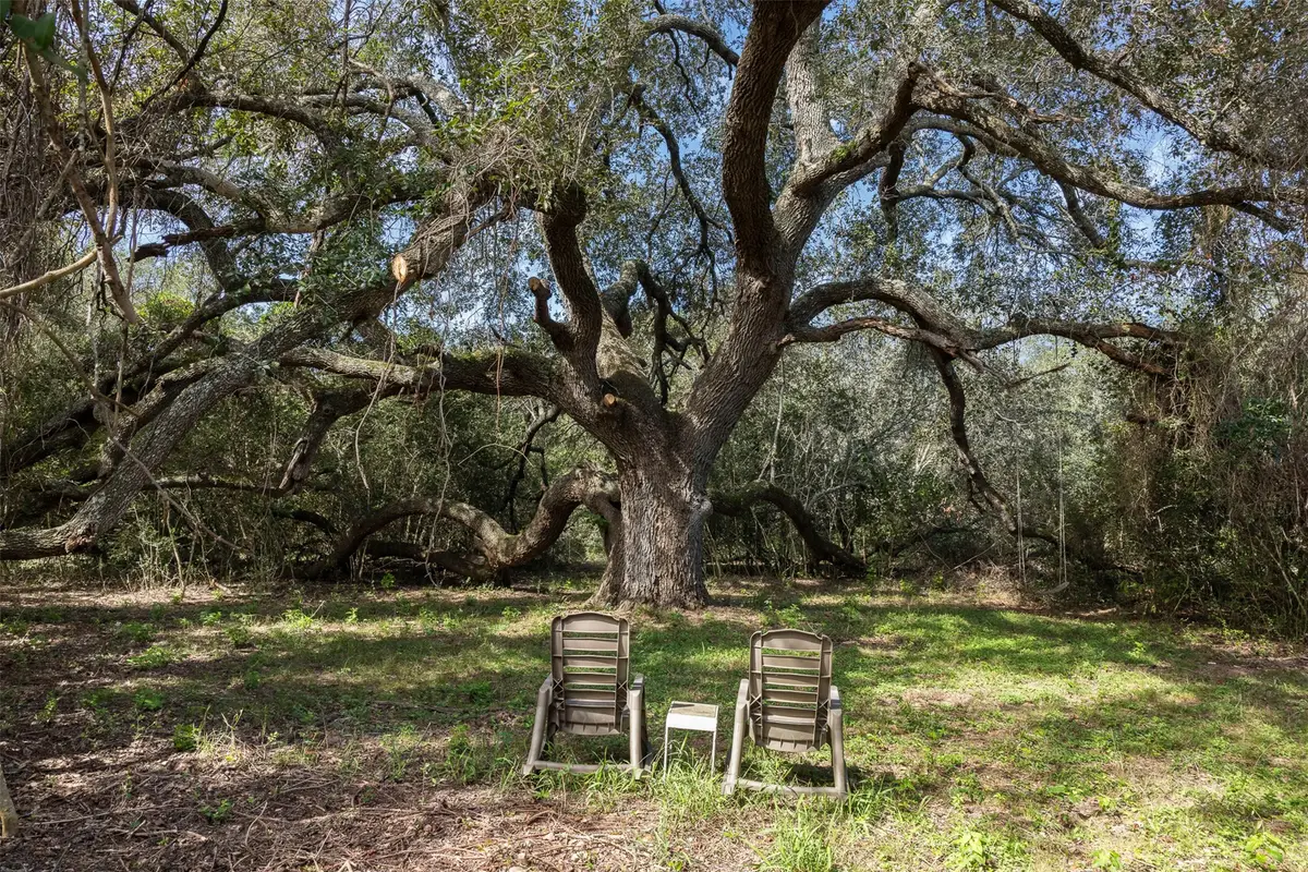 8189 Milton Road, Sealy, TX 77474 - #1