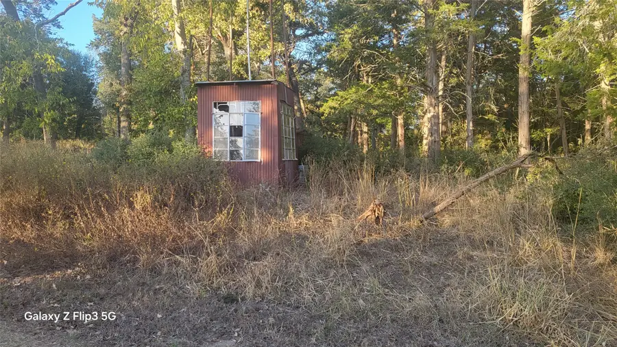 7538 Magnolia Lane, New Ulm, TX 78950 - Image #3