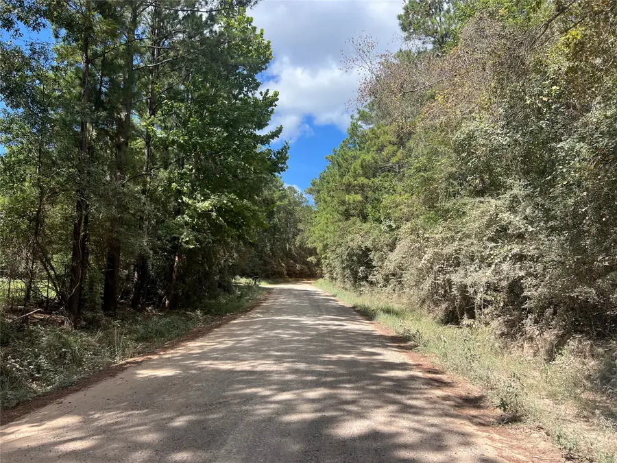 TBD Tom Cummings Road, Livingston, TX 77351 - #3