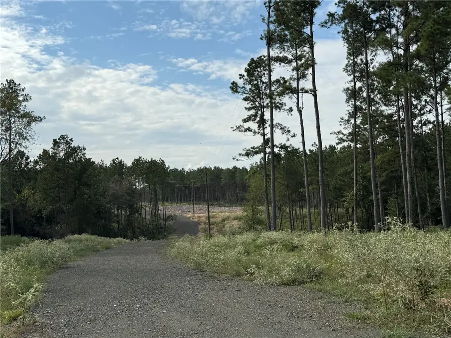 141 County Road 4872, Timpson, TX 75975 - #3