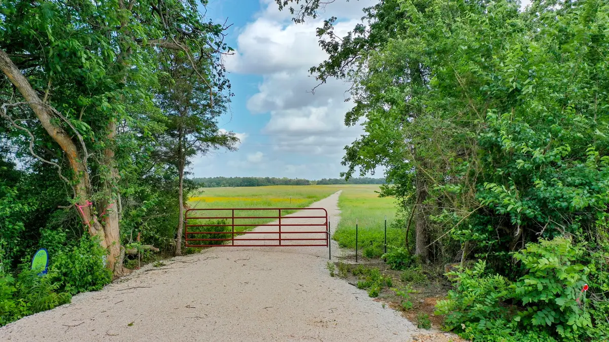 TBD Cr 328, Tract 7, 10 Acres, Caldwell, TX 77836 - #1