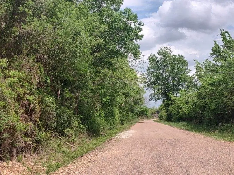 TBD Cr 328, Tract 7, 10 Acres, Caldwell, TX 77836 - #2