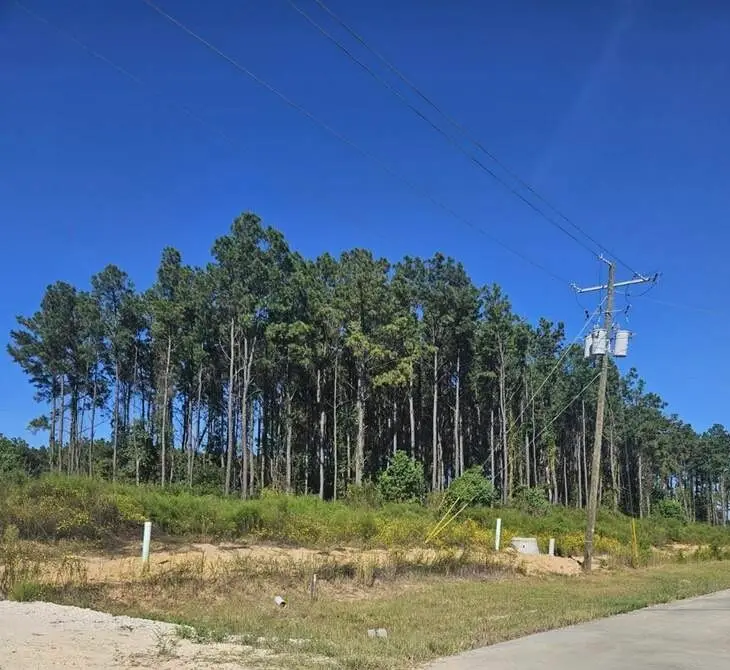 2055 Road 5913, Cleveland, TX 77327 - #1