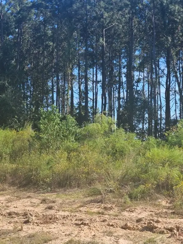 2055 Road 5913, Cleveland, TX 77327 - #2