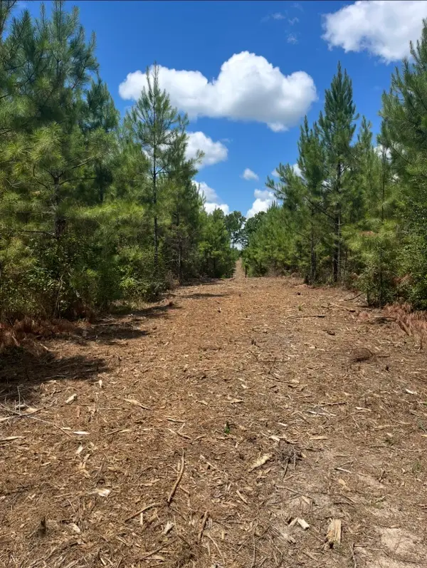 10343 Private Road 8012, Bronson, TX 75930