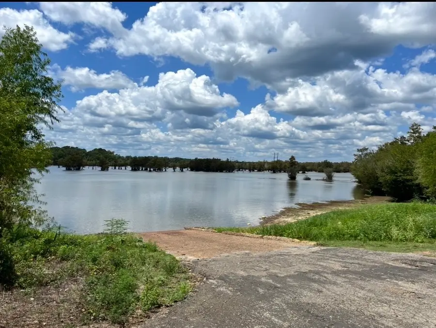 10343 Private Road 8012, Bronson, TX 75930 - #3