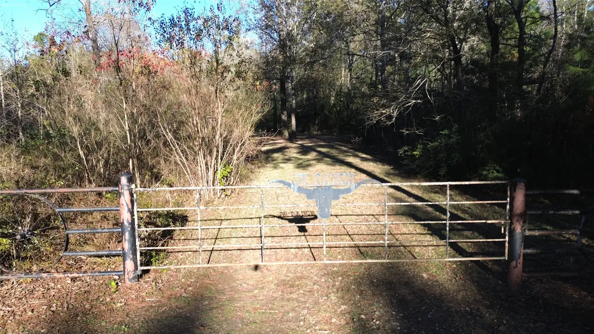 TBD Fm 1280 E, Lovelady, TX 75851 - Image #1