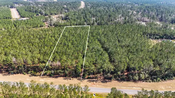 15422 Forest Grove Drive, Willis, TX 77378