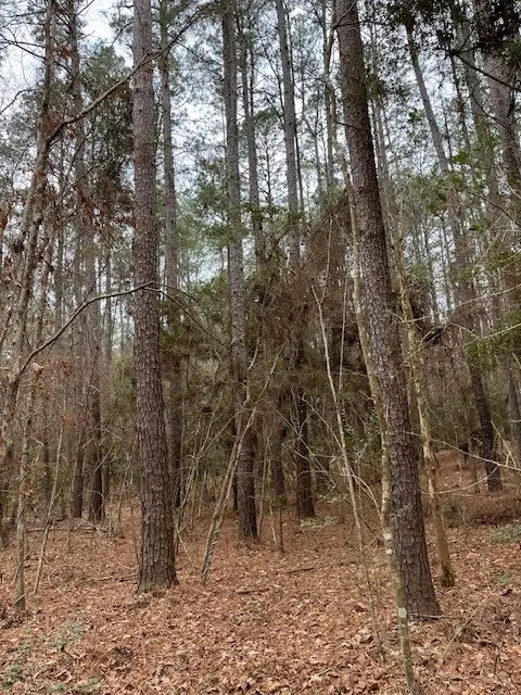 TBD Off Of County Road 2580, Colmesneil, TX 75938 - #3