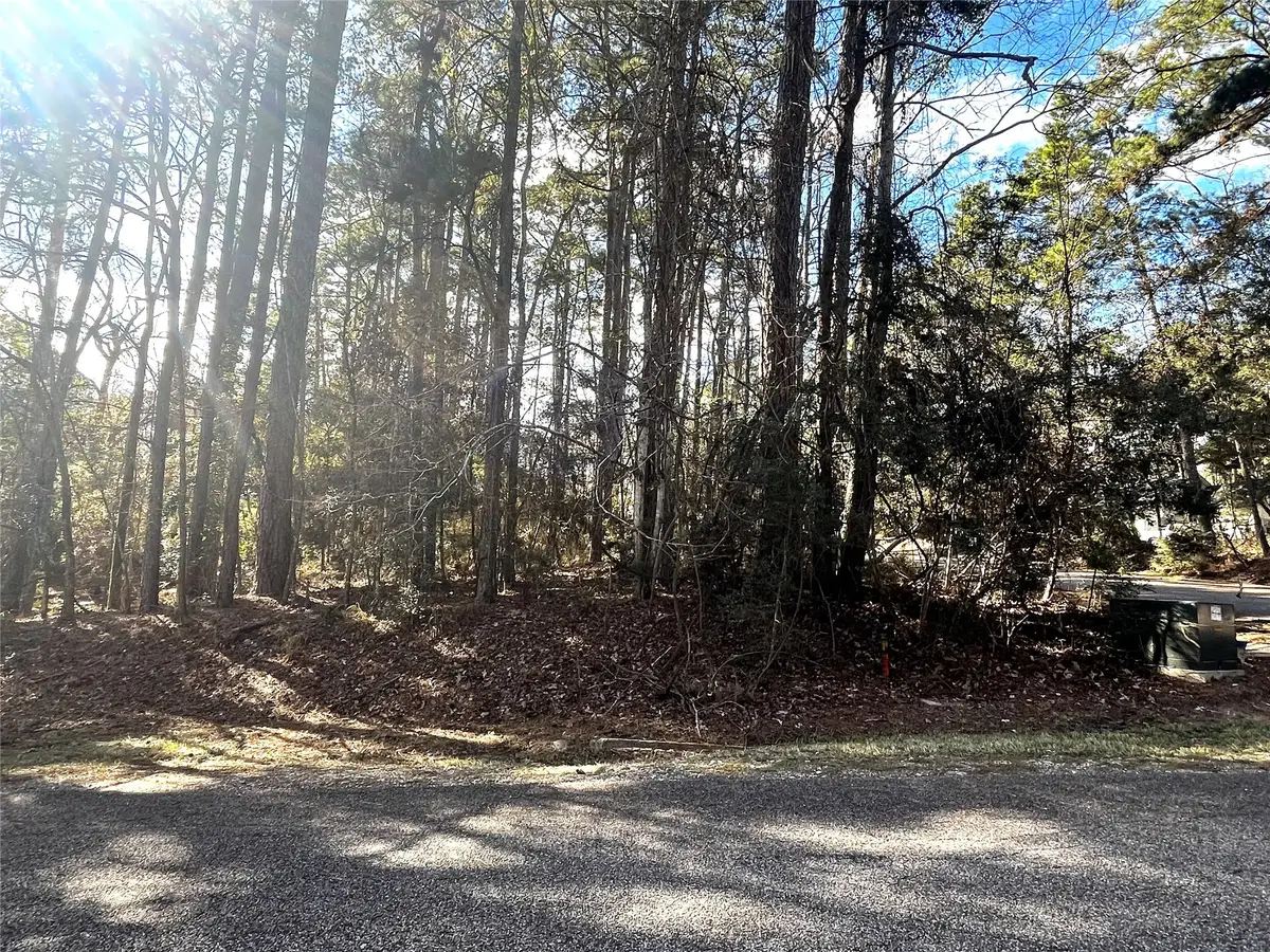 179 Green Tree Drive, Coldspring, TX 77331 - #1