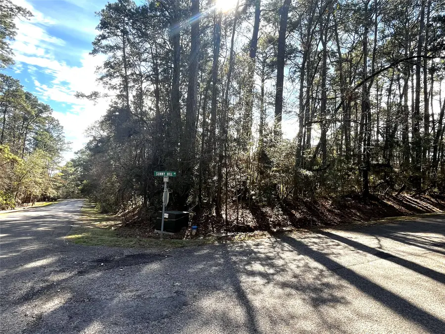 179 Green Tree Drive, Coldspring, TX 77331 - #3