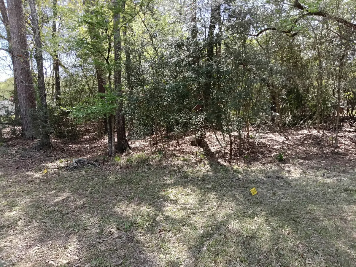 1004 White River Road, Conroe, TX 77316 - Image #1