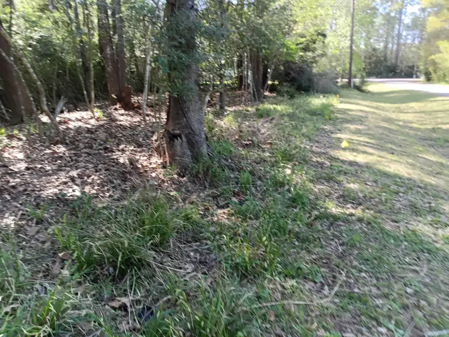 1004 White River Road, Conroe, TX 77316 - Image #3