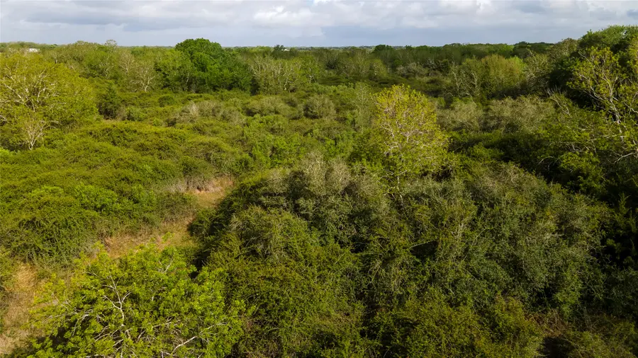 000 County Road 464, Blessing, TX 77419 - #3