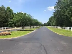 28200 Horse Shoe Lane, Waller, TX 77484 - #3