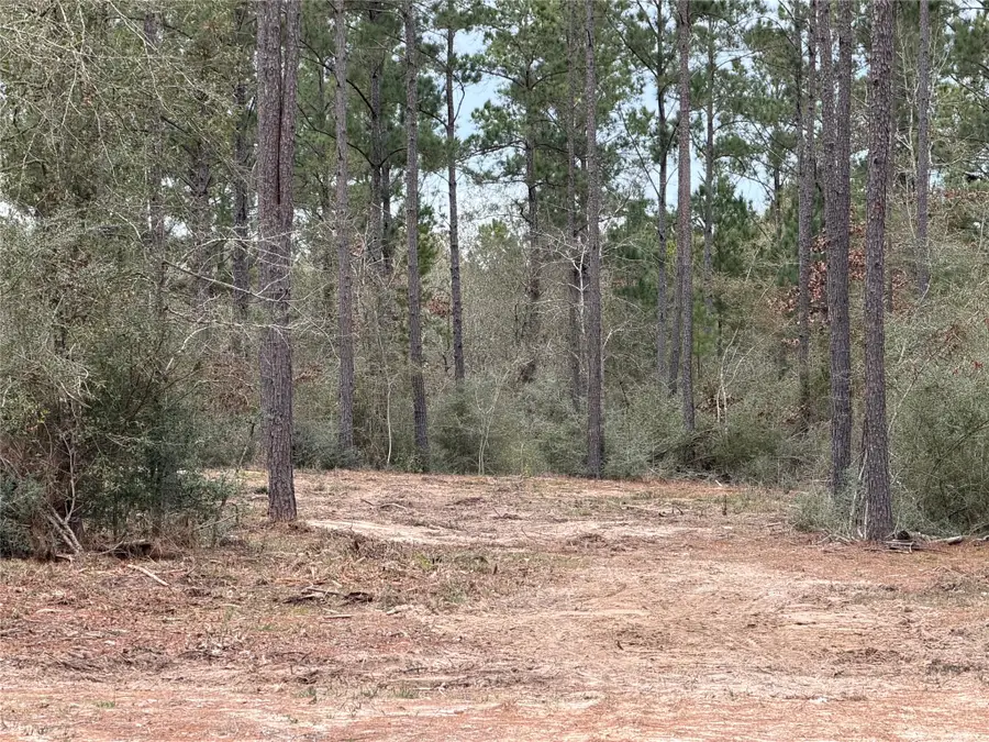 700 Pr 8160, Lovelady, TX 75851 - #2