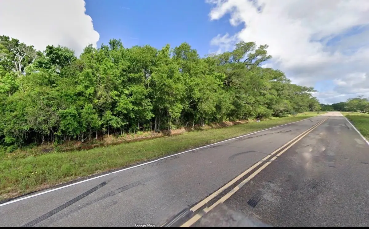 1439 County Road 878a, Sweeny, TX 77480 - #1