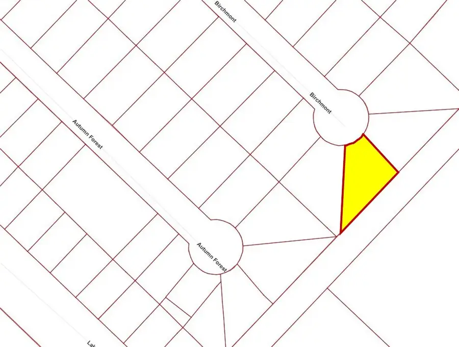 0 Birchmont Drive, Guy, TX 77444 - #3