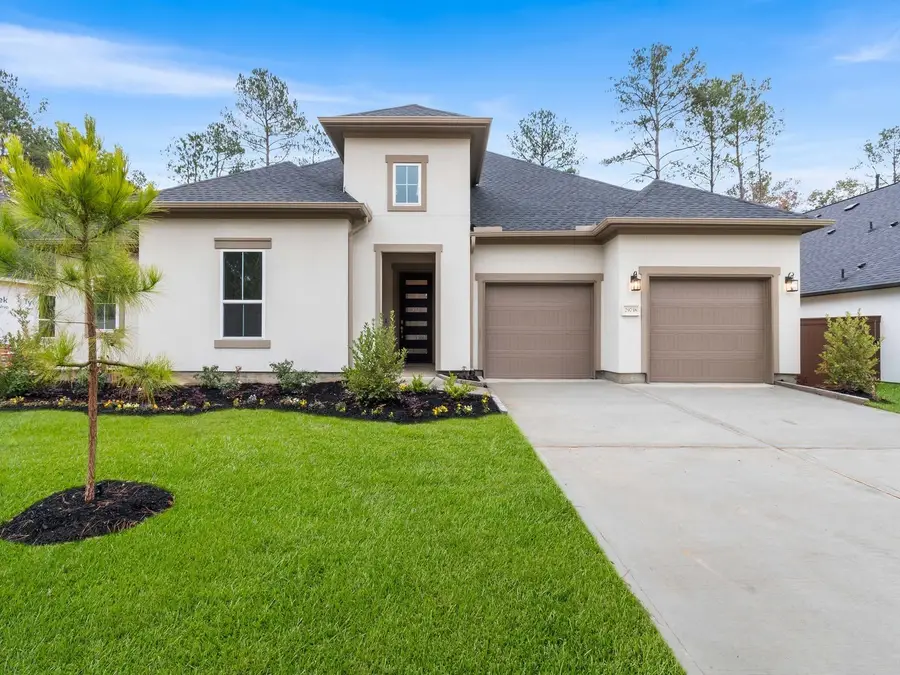 29738 Shady Glade, Magnolia, TX 77354 - #2