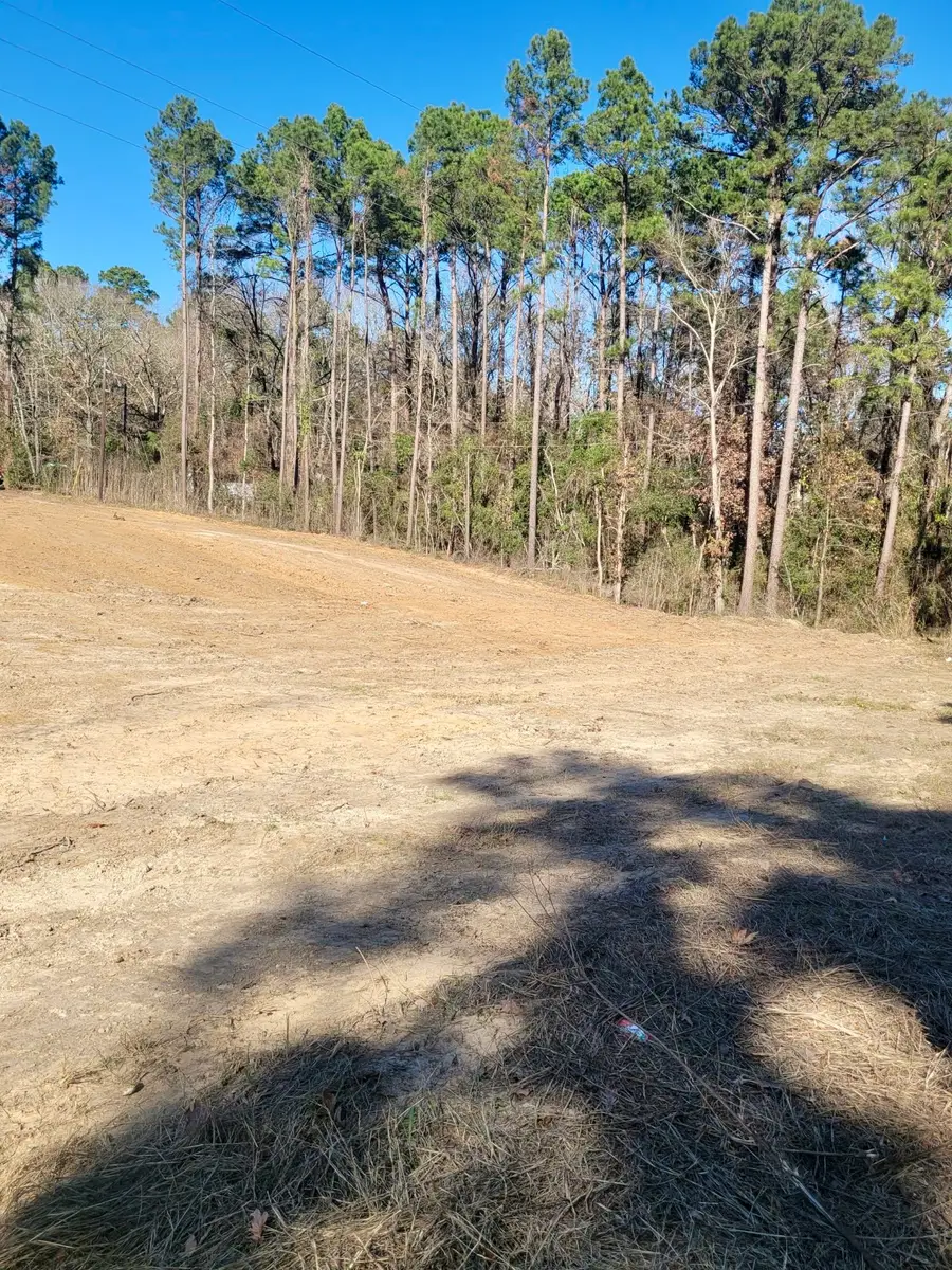 Lot 17 & 18 Old Groveton Road S, Onalaska, TX 77360 - #3