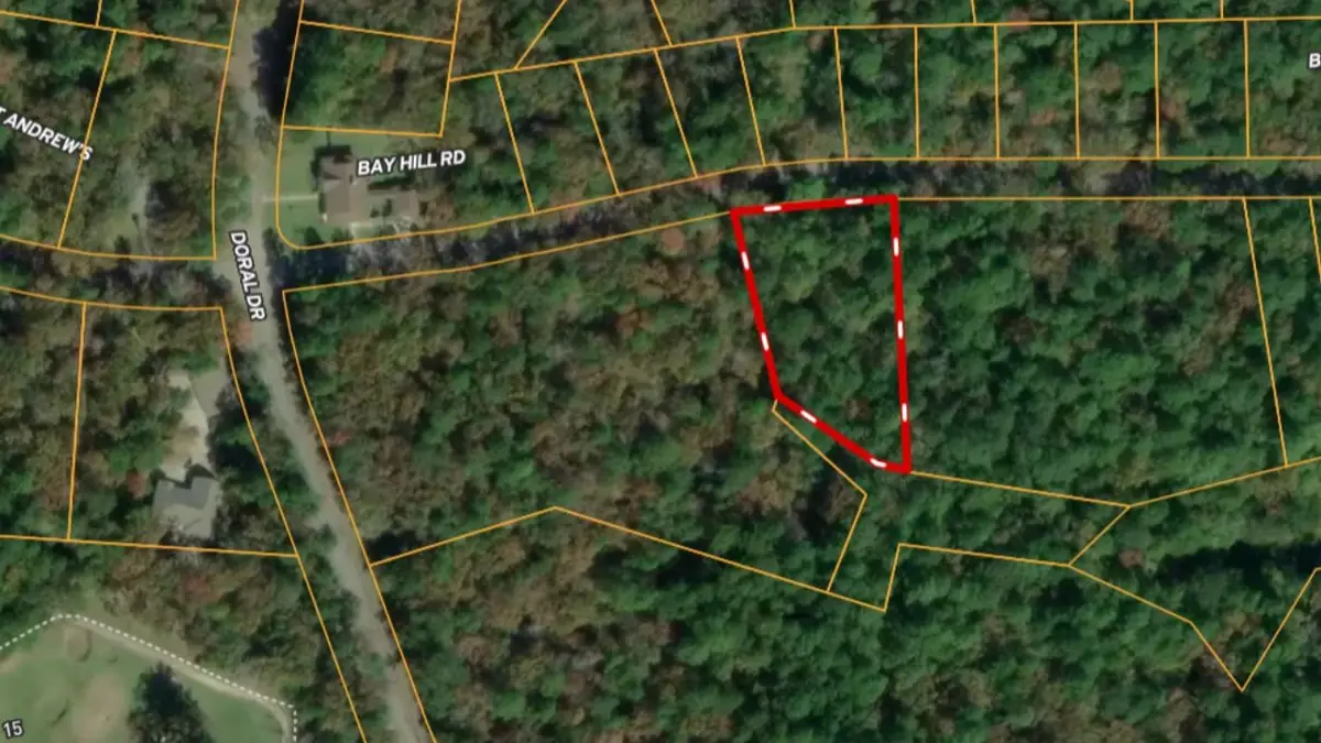 Lot 6 Bay Hill Road, Huntsville, TX 77320 - #1