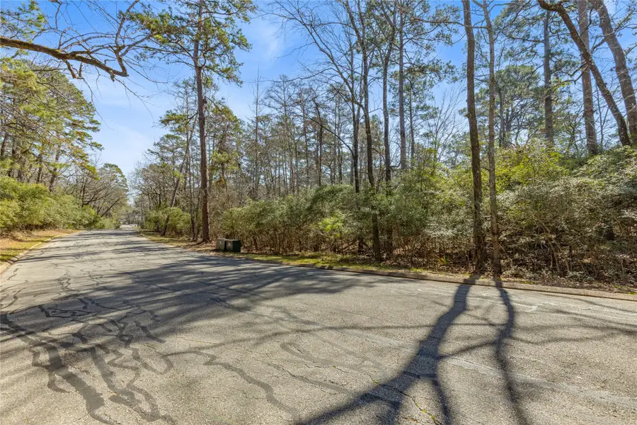 Lot 6 Bay Hill Road, Huntsville, TX 77320 - #3